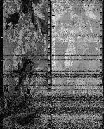 noaa-15